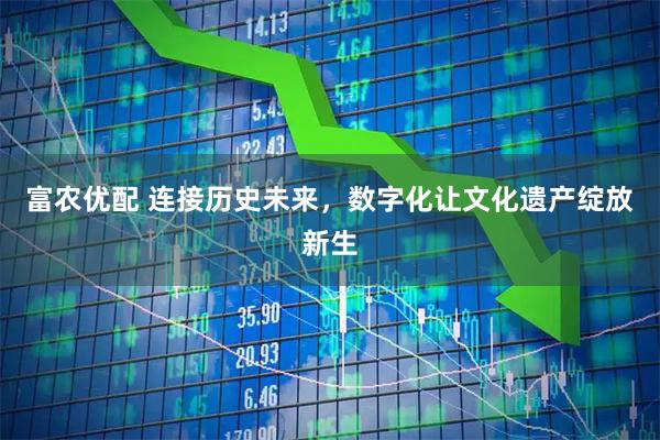 富农优配 连接历史未来，数字化让文化遗产绽放新生