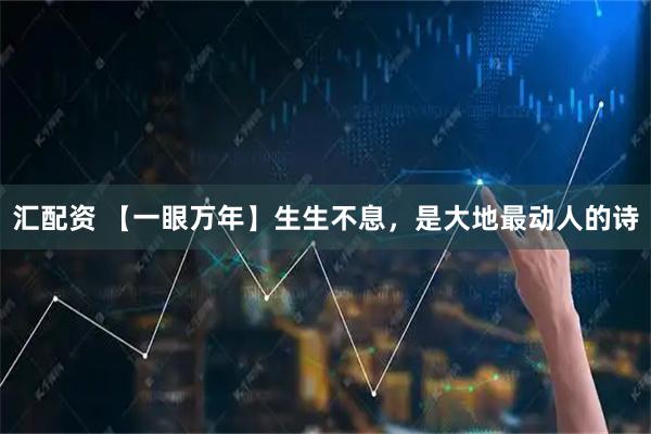 汇配资 【一眼万年】生生不息，是大地最动人的诗