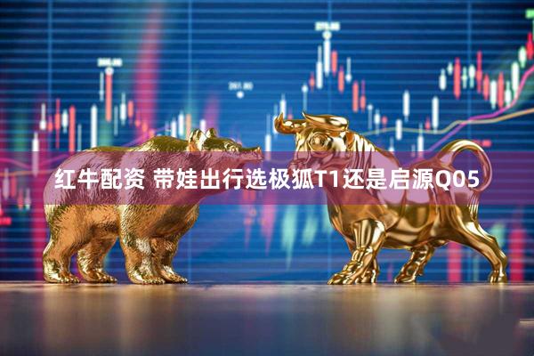 红牛配资 带娃出行选极狐T1还是启源Q05