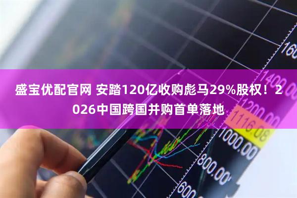 盛宝优配官网 安踏120亿收购彪马29%股权！2026中国跨国并购首单落地